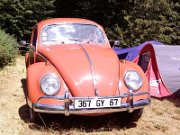 Beetle Show Rioz (71)